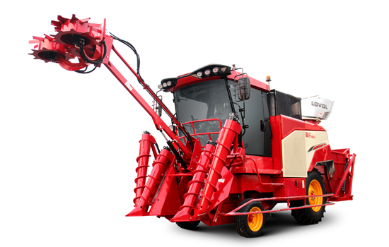 龙8头号玩家(国际)官方网站