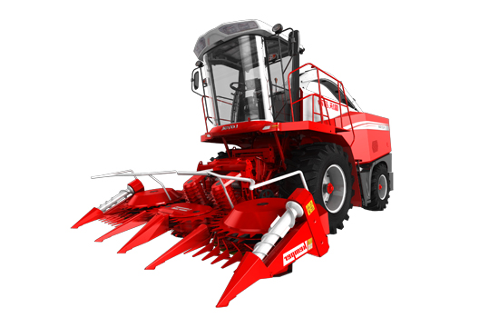 龙8头号玩家(国际)官方网站