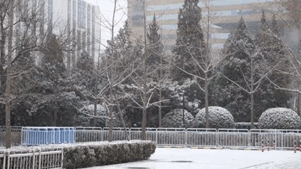 龙8头号玩家(国际)官方网站